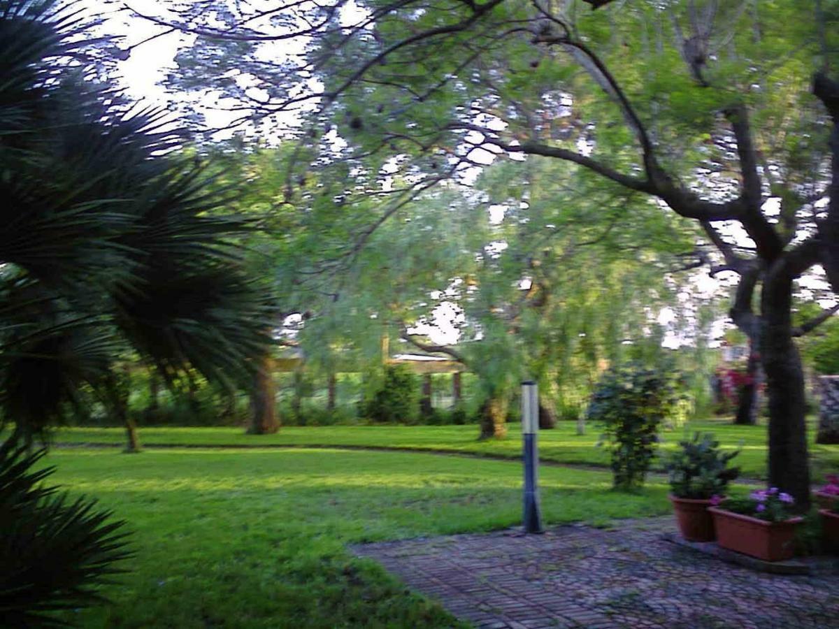 La Quercia Bed and Breakfast Altavilla Silentina Eksteriør billede